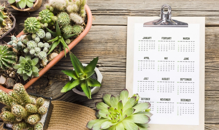 calendrier-jardin-urbain-greedy Calendrier des plantations