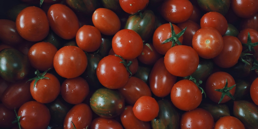 blog-tomates-pot-recolte les conseils pour une récolte optimale de tomates cerises